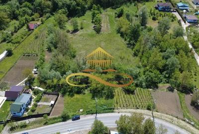 Teren intravilan | 3.128 mp INTRAVILAN | Luncani-de vanzare - 7