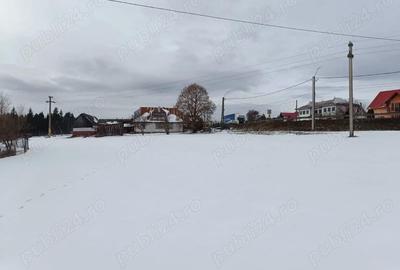Casă cu 3 camere cu Teren 3900 Mp în Poiana Stampei - 2