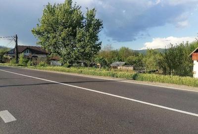 Teren de 800 mp, în Bujoreni - 6