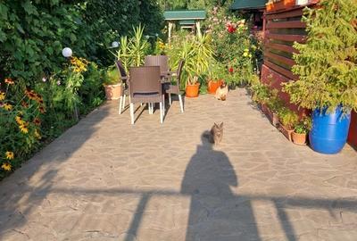 Casă cu 3 camere în Măneciu - 9