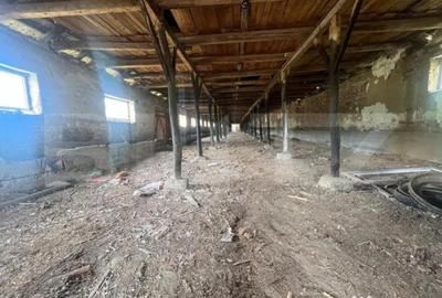 Teren de 3000 mp, în Filiași - 2