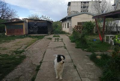 Inchiriez hala si locuri de parcare in curte ingradita pe Calea Torontalului - 5