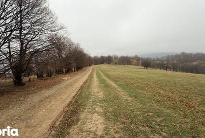 Teren de 35000 mp, în Central