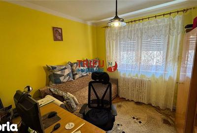 Apartament cu 3 camere semidecomandat în Cetate - 14