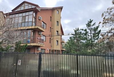 Apartament cu 3 camere decomandat, mobilat în Doamna Ghica - 13