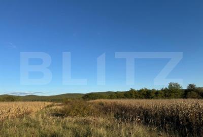 Teren de 1400 mp, în Brănișca - 2