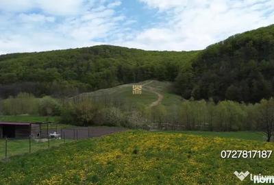 Casă cu 7 camere cu Teren 1300 Mp în Pătrăuți - 10