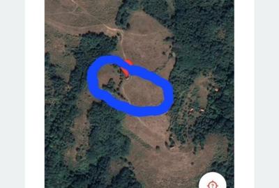 Spațiu comercial, în Râmeț - 9