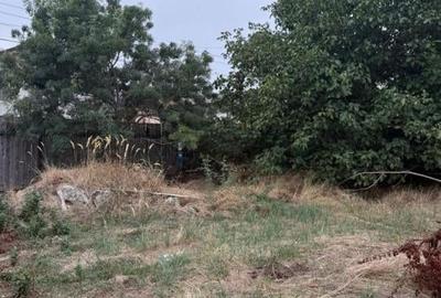 Teren de vanzare 716mp Dudu-Rosu, Chiajna, langa Padurea Roso - 5