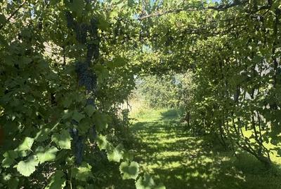 Casa De Vanzare LUNA - 6