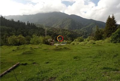 Teren de 1500 mp, în Central