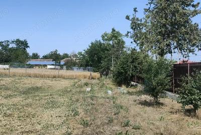 Spațiu comercial, în Borcea - 4