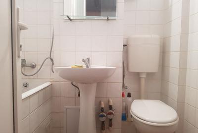 Inchiriere garsoniera metrou Dristor, etaj intermediar, 270 euro - 14