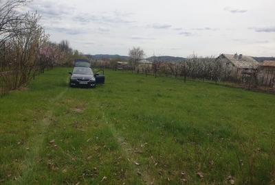 Cornu de Sus, vanzare teren intravilan 2900/26 - 6