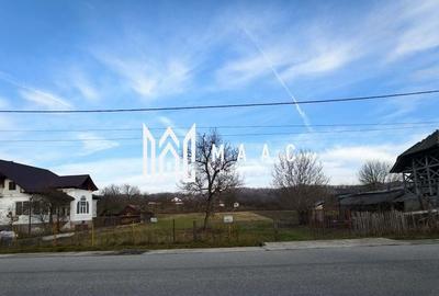 Teren Construcții intravilan de 4000 mp, în Costești - 1