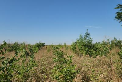 Frumusani-Pasarea,stradal la asfalt,ideala investitie! - 2