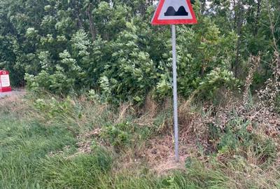 Teren de 6300 mp, în Est - 3