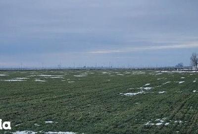 Teren de 20000 mp, în Dragalina - 9