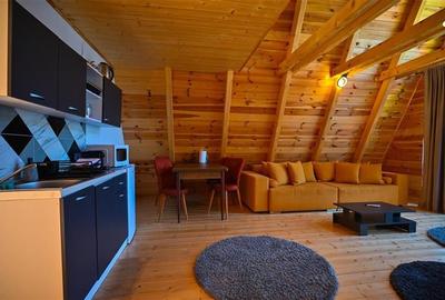 A Frame cu vedere la Piatra Craiului Moieciu, Brasov - 10