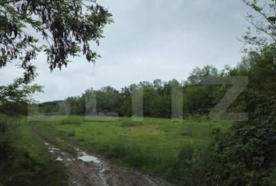 Teren de 3355 mp, în Central