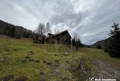 Oportunitate unica! 5ha + 2 cabane de vacanta in Valea Ierii - 7