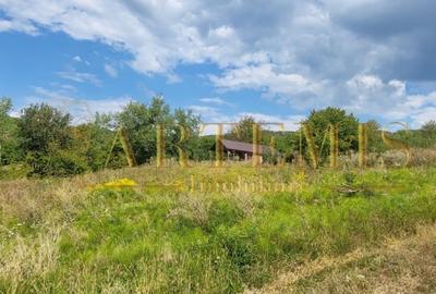 Teren intravilan 1279 mp , Valea Budacului - 2