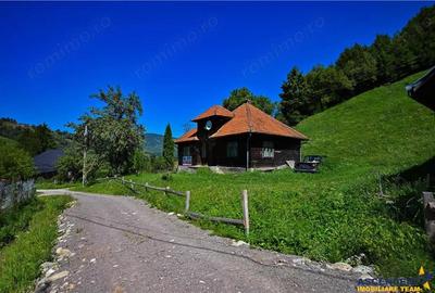 FILM! Casa traditionala pe domeniu de 4.300mp teren, Bran - Simon, Brasov - 5