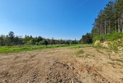 Teren intravilan de vanzare , zona Sf Ion, Padurea Faget - 2