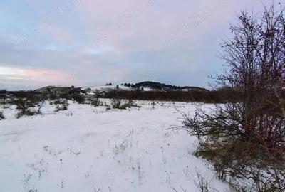 Teren de 800 mp, în Sânpetru