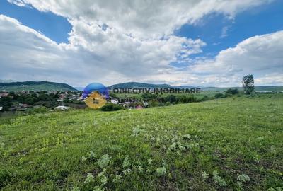 Teren intravilan Piatra-Neamt- cartier Ciritei - 5