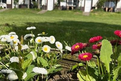 Transilvania Camping,domeniu de 14.400mp,Sanmarghita de Mures:2cladiri, apartame - 3