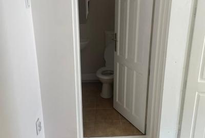 Casa Rahova -Alexandriei 2 Corpuri Finisaj Premium - 16