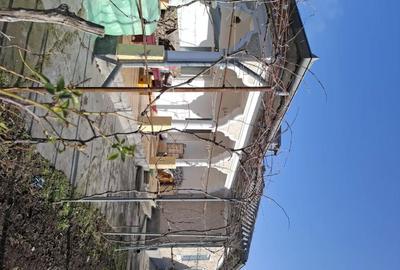 Casă cu 3 camere cu Teren 650 Mp în Sfântu Gheorghe - 3