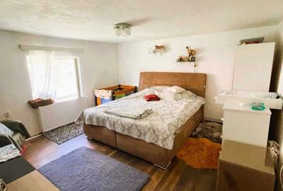 Casă cu 2 camere cu Teren 5000 Mp în Răchitova - 5