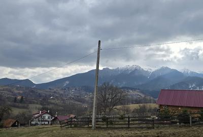 Teren Construcții intravilan de 3040 mp, în Bran - 10