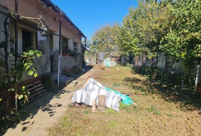 Casă cu 3 camere în Paleu - 6