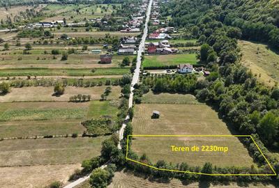 Teren Construcții extravilan de 2230 mp, în Dărmăneasca - 2