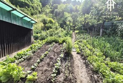 Casa de vanzare in Nadrag, jude?ul Timi? Casa de vanzare in Nadrag, jude?ul Timi? - 11