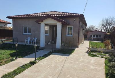 Casa de vacanta | Curte | Teren | Belciugatele | Calarasi - 28