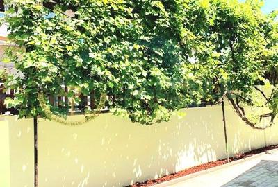 Apartamente Regim hotelier cu rezervari incluse in Sibiu - 16