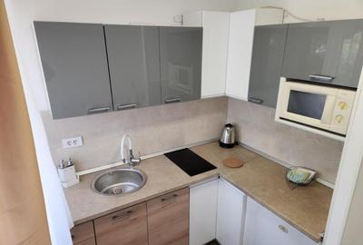 De inchiriat 2 camere pe Calea Bucuresti - 5