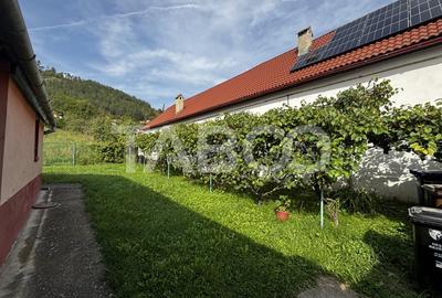 Casa saseasca de vanzare + bonus doua terenuri Seica Mare Sibiu - 5