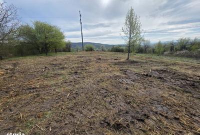 Teren de 6704 mp, în Hărău - 17