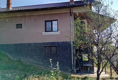 Vand casa de locuit in Turceni - 4