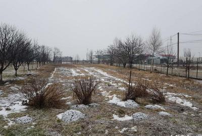 Vand casa in chichis - 6