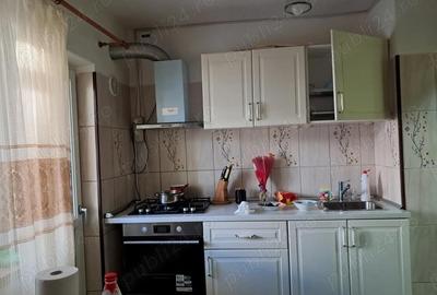 Apartament cu 2 camere decomandat în Exercițiu - 1