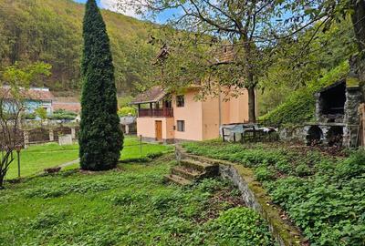 Vila Exclusivista Vetel,valea Caoiului - 6