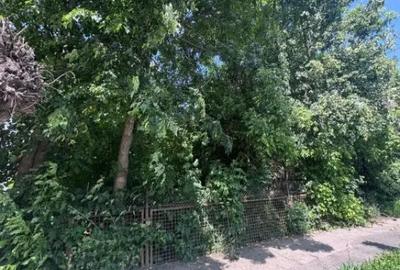 Teren de 4200 mp, în Rădăuți - 3