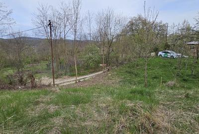 Teren de 3320 mp, în Provița de Sus