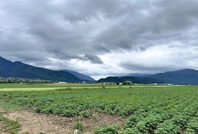 Teren extravilan 13200 mp.zona de case Sacele pretabil investitie!! - 6